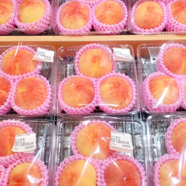【🍑旬の桃 入荷してます🍑】⁡
⁡⁡
⁡おはようございます⁡
⁡ニコニコマルシェの橋本です⁡
⁡⁡
いちごのシーズンが終了し、フルーツコーナーにはどーんと旬の桃が盛りだくさんです🧚‍♀️⁡⁡
⁡⁡
入口を通ると、店内が桃の甘い香りに包まれていて幸せな気持ちになります☺️
⁡⁡
⁡ぜひ皆さま季節のフルーツをお楽しみください🍑🍑⁡
⁡⁡
⁡#道の駅日光 #ニコニコ本陣 #道の駅 #農産物直売所 #桃 #日光旅行 #鬼怒川温泉 #NIKKO #visit_nikko
⁡⁡
⁡
⁡⁡
⁡