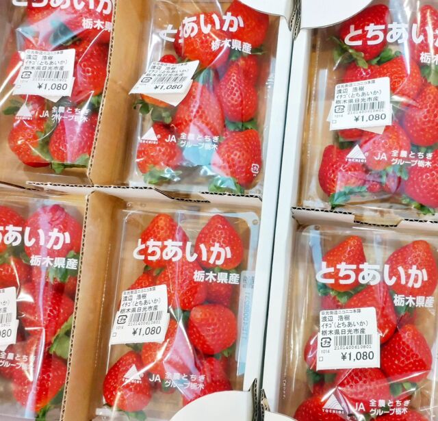 【🍓いちご入荷しました🍓】

おはようございます
ニコニコマルシェの橋本です

農産物直売コーナーにて『日光産いちご』の入荷が始まったのでお知らせです- ̗̀ 📢

いちごのシーズンは始まったばかりなのでまだ少量ですが、これからどんどん数も品種も増えてくると思うと楽しみですね☺️

はやく今年のいちごが食べたい!という方は是非ご利用ください♪
皆さまのご来店をお待ちしております✨

#道の駅日光 #ニコニコ本陣 #道の駅 #栃木 #日光 #栃木旅行 #鬼怒川温泉 #栃木の苺 #NIKKO #tochigi