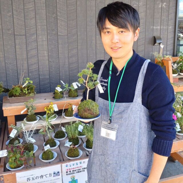 【- ̗̀🌱苔玉・植木販売してます🌱】

みなさん、道の駅日光で植木が売られているのをご存知でしょうか？

ニコニコマルシェの屋外スペースでは季節のお花や植木を販売しています🌷

中でも高い人気を集めているのがこちらの『苔玉』です!
まんまるの苔に様々な植物が植えられていている様子がなんとも可愛く、インテリアとしても注目されている商品です🙌

2～3日に1回の水やりで良いそうなので、ズボラな私でも事務所で育てることができていますよ👍

長年たくさんの苔玉を出荷してくれていた農家さんがご引退されたのですが、なんとその甥っ子さんが後を継いで一生懸命頑張ってくれています☺️

季節によって植えられている植物が変わってくるので、
お越しの際には是非のぞいてみて下さいね✨

#道の駅日光 #ニコニコ本陣 #道の駅 #栃木 #栃木旅行 #日光 #日光旅行 #鬼怒川温泉 #NIKKO #苔玉 #モスボール