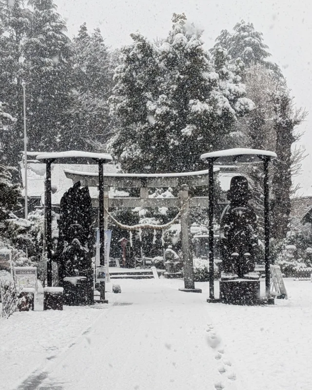 【☃️降雪注意☃️】

おはようございます
ニコニコマルシェの橋本です。

本日の日光市今市の天気は雪!
写真は朝7:00頃の様子です⛩️

日光市内では、大雪警報・注意報が発令されています⚠
道の駅日光の周辺はまだそこまで積もっておりませんが、路面の除雪が間に合っていない部分も多いです。
お出かけの際はお気をつけください🙏

かく言う私も日光道でツルッツルに滑りながら出勤しました🚙 
日光では昔から4月の弥生祭が終わるまでは雪が降ると言われています。 もうしばらくの間は冬用タイヤを着用していると安心ですね😌

#道の駅日光 #ニコニコ本陣 #道の駅 #栃木 #日光市 #今市 #NIKKO